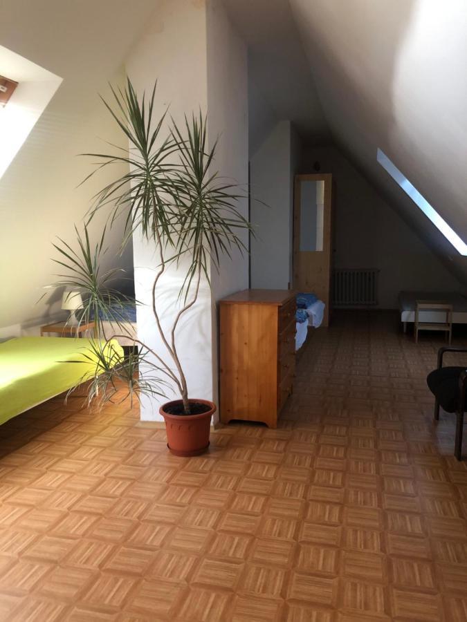 Apartment Luzne Luhačovice エクステリア 写真